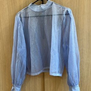 Sheer sparkly blue top